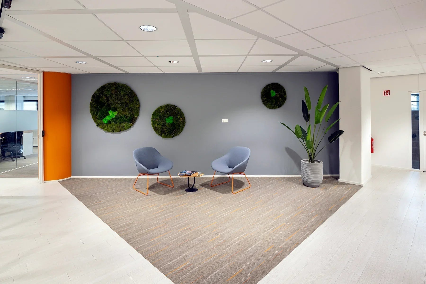 Moderne kantoorinrichting met design stoelen, moswanden en grote plant, vergaderruimte sfeer