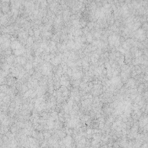 Kleur 12 Silver Grey Akopanel