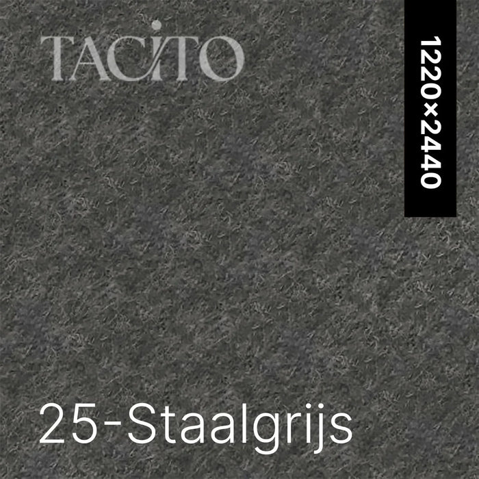 Kleur 25 Staalgrijs PET-vilt Tacito