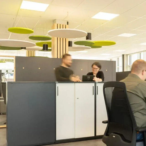 Modern kantoor met design kantoormeubilair, vergaderruimte en akoestische panelen aan plafond.