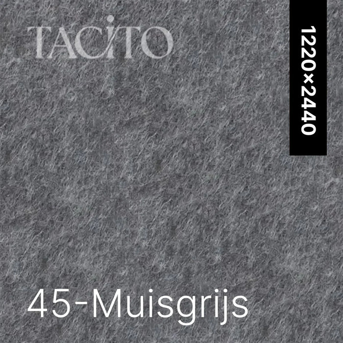 Kleur 45 Muisgrijs PET-vilt Tacito