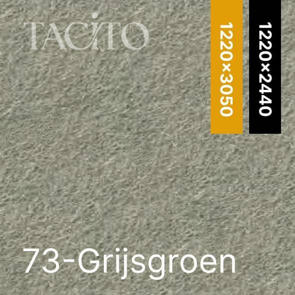 Kleur 73 Grijsgroen PET-vilt Tacito