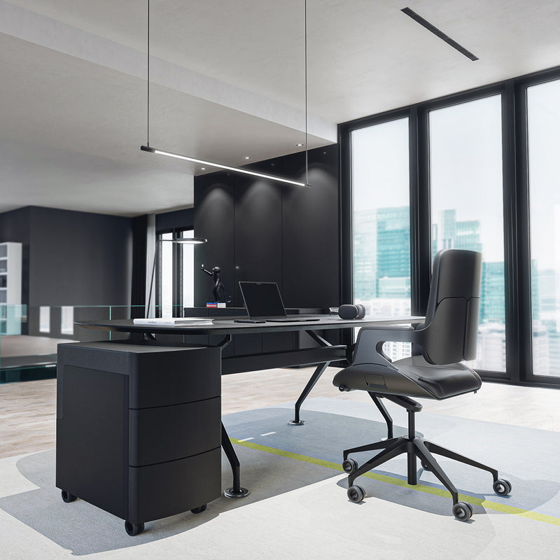 Bureaustoel Interstuhl Silver 262S lage rug