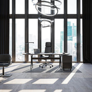 Directie-bureaustoel Interstuhl Silver 362S - KANTOORMEUBELS.ONLINE