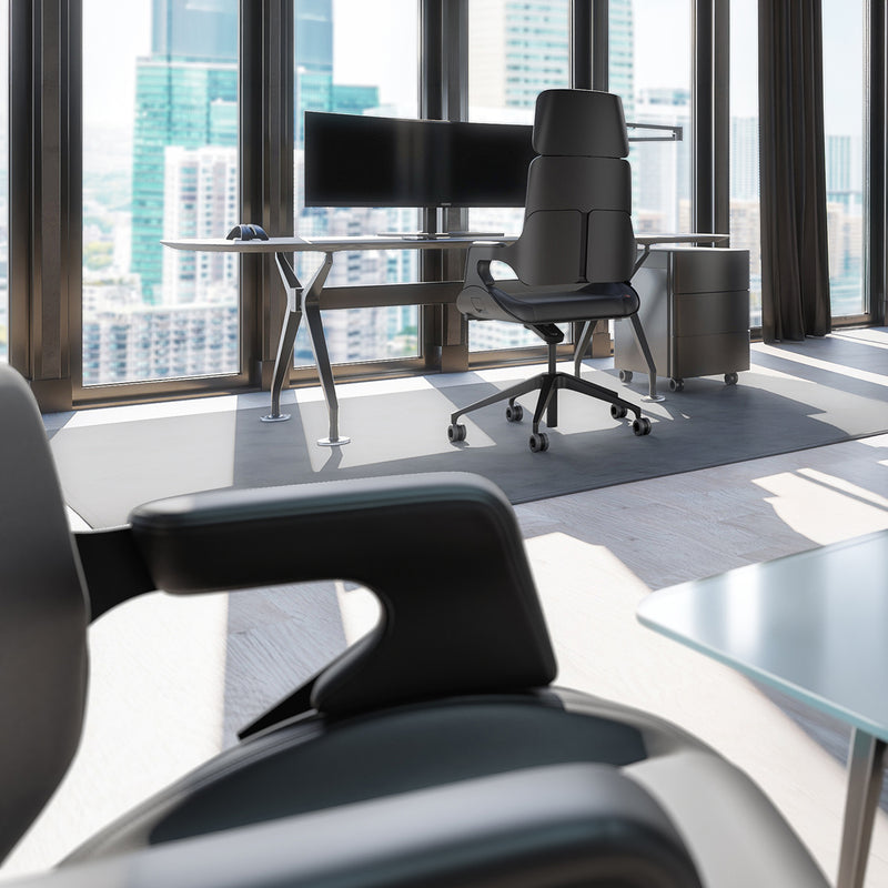 Directie-bureaustoel Interstuhl Silver 362S - KANTOORMEUBELS.ONLINE