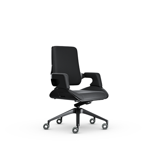 Interstuhl SILVER 262S bureaustoel - KANTOORMEUBELS.ONLINE