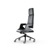 Directie-bureaustoel Interstuhl Silver 362S - KANTOORMEUBELS.ONLINE