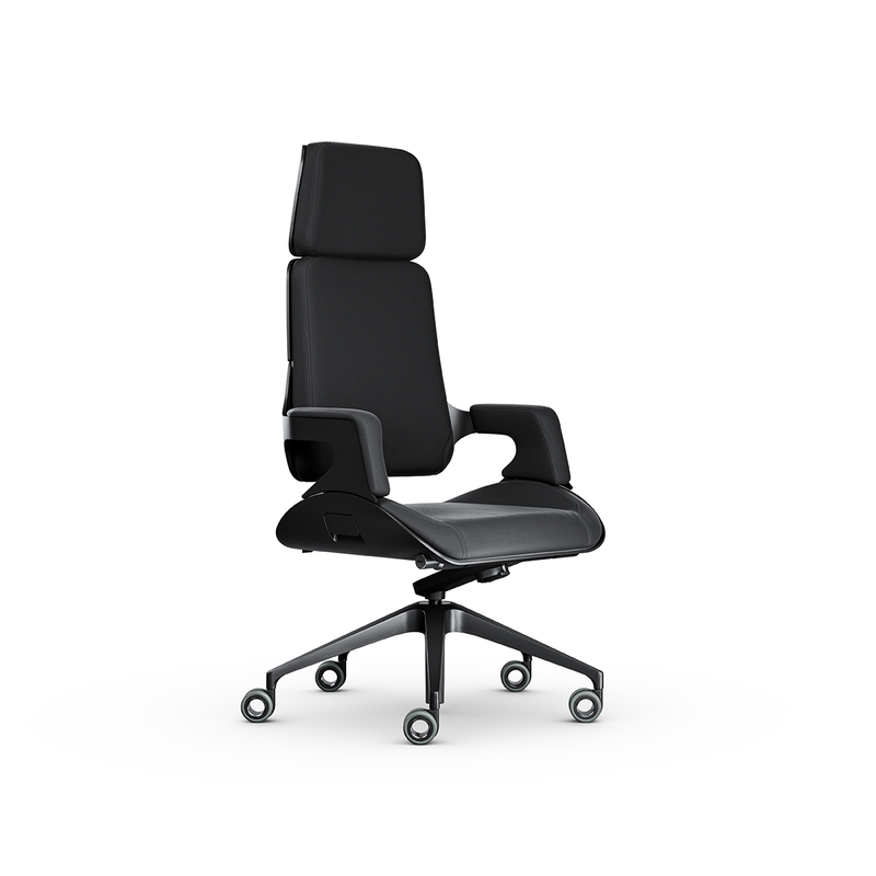 Directie-bureaustoel Interstuhl Silver 362S - KANTOORMEUBELS.ONLINE