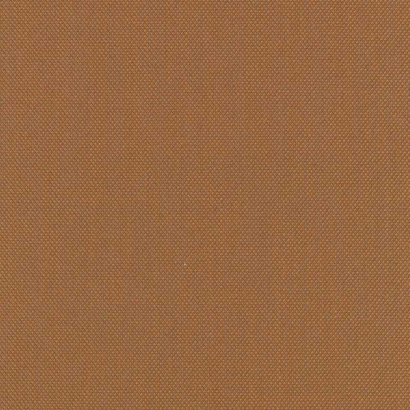 Steelcut Trio 3 436