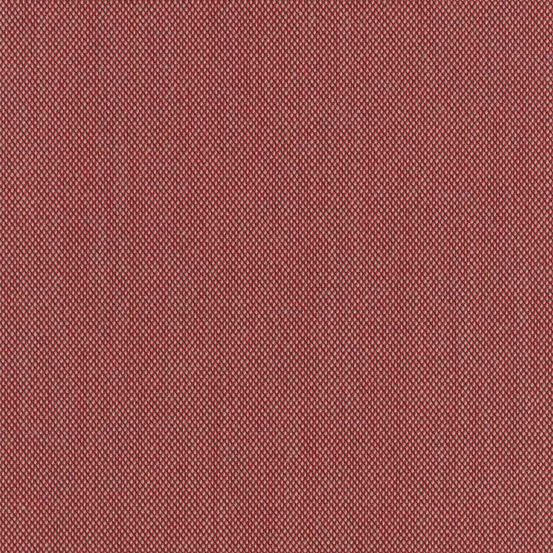 Steelcut Trio 3 636
