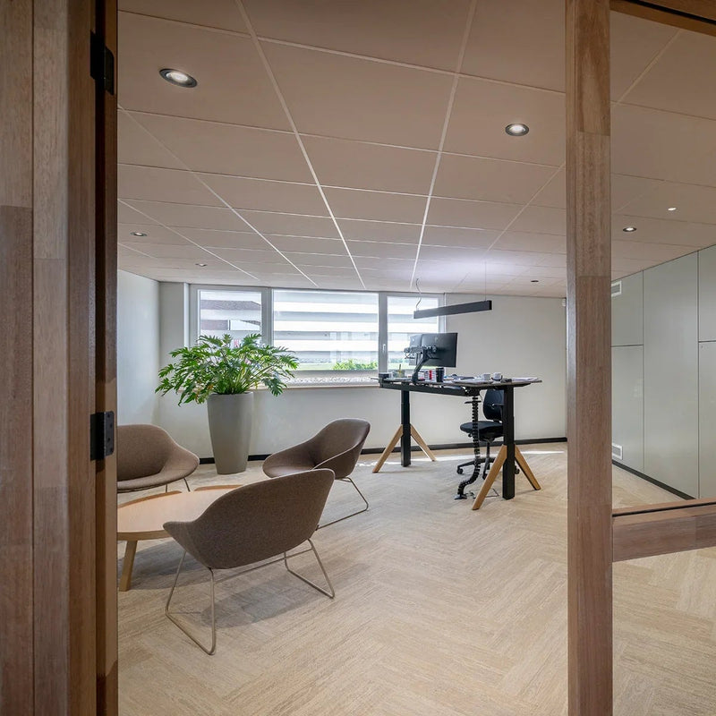 Modern kantoor met design zitmeubels, zit-sta bureau, grote plant en glazen wand