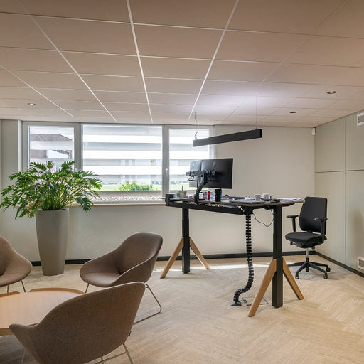 Modern kantoor met zitgedeelte, verstelbaar bureau, bureaustoel en grote kamerplant