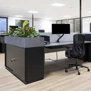 Wini kast in zwart met plantenbak in grijs