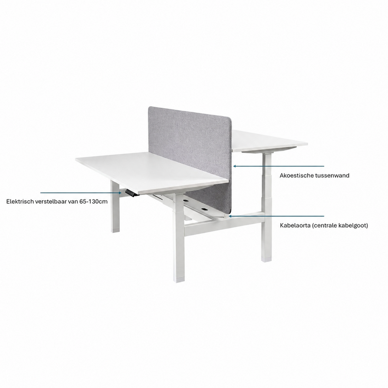 Duo bureau Business Basic elektrisch zit-sta  /  5 JAAR GARANTIE