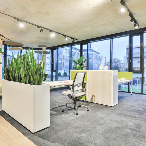 Bureau Palmberg Sinac, opgesteld tussen een hoge plantenbak en een kantoorkast