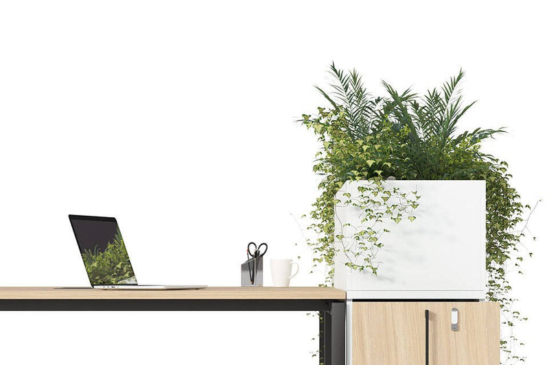 Apothekerskast Palmberg Orga Plus / Hoogte 72 en 120cm