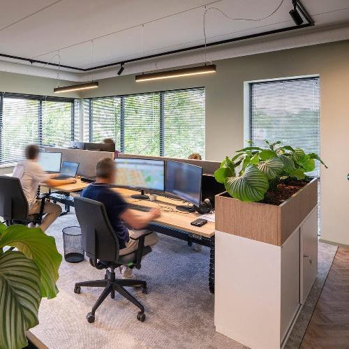 Moderne kantoorruimte met bureaustoelen, plantenbak op kast, grote ramen en werkplekken.