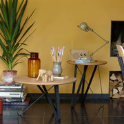 Moderne salontafels met houten blad, zwarte metalen poten, accessoires en plant, kantoorinrichting.
