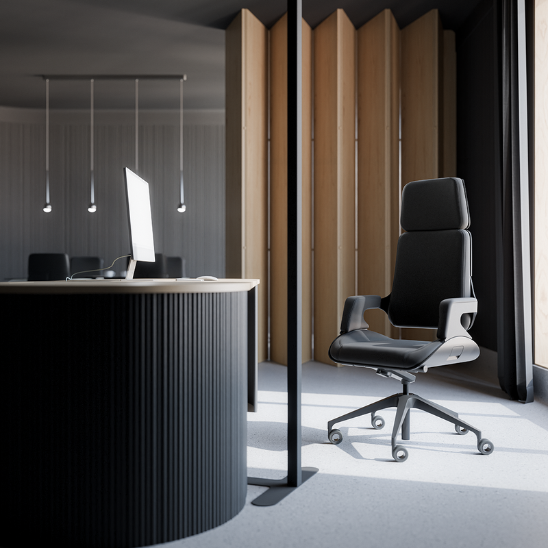 Directie-bureaustoel Interstuhl Silver 362S - KANTOORMEUBELS.ONLINE