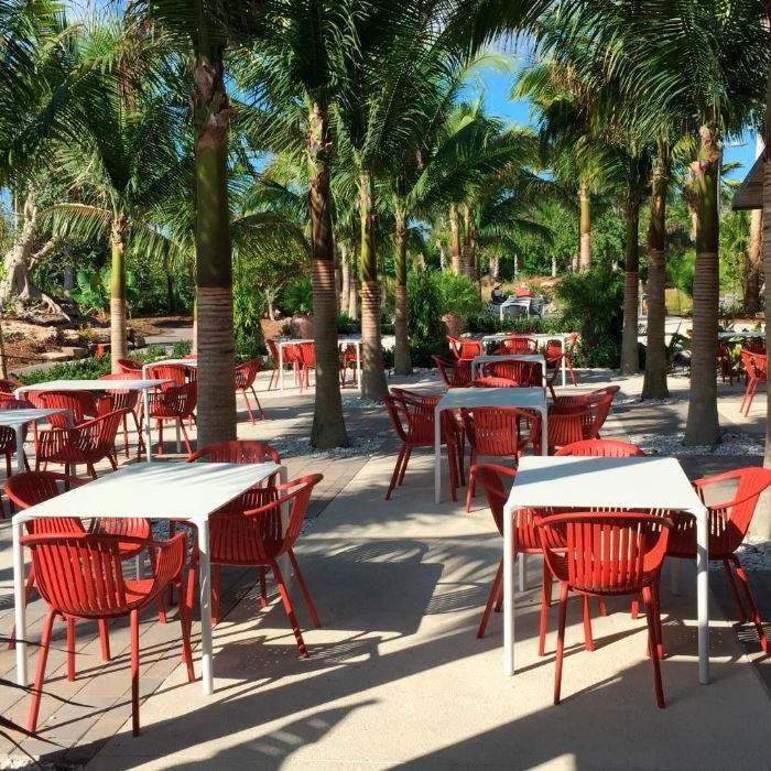 Moderne rode buitenstoelen en witte tafels onder palmbomen op terras, design kantoormeubilair