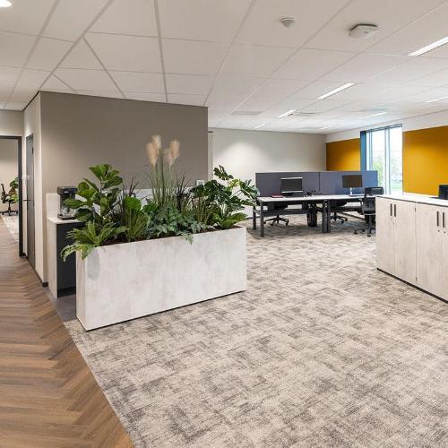 Verrijdbare plantenbak met verborgen wielen in modern kantoor, design kantoormeubels online