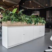 Wini schuifdeurkast met plantenbak